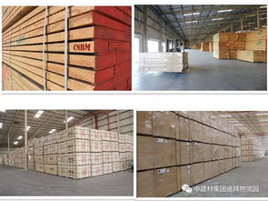 盤(pán)點(diǎn)2017年上半年入駐中國(guó)建材迪拜海外倉(cāng)產(chǎn)品動(dòng)態(tài)與銷(xiāo)售趨勢(shì)